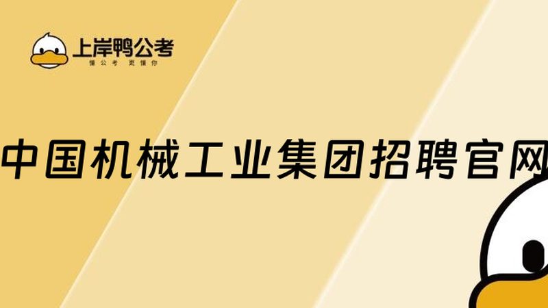 成套设备尺寸材质要求：关键因素解析**